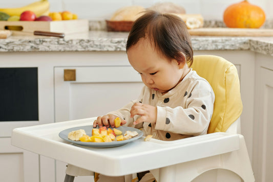 Alimentos para introdução alimentar